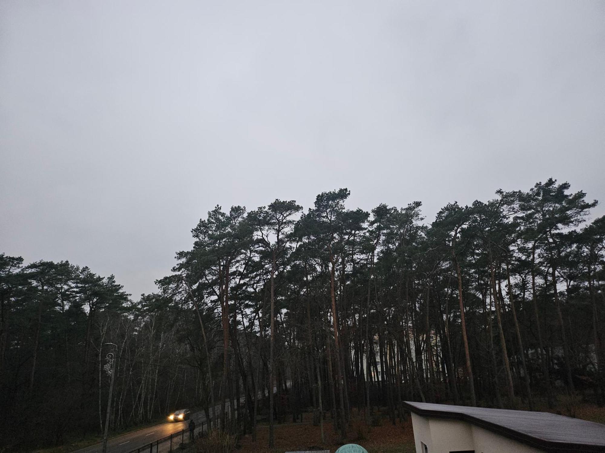 Guest house 